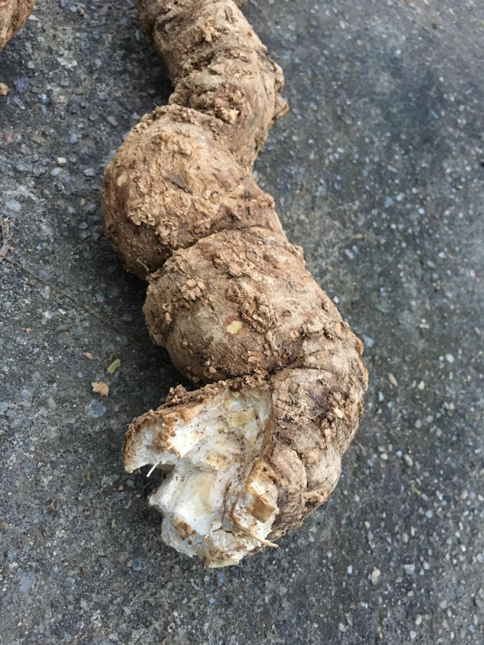 看图识物最好有中医药根底的
